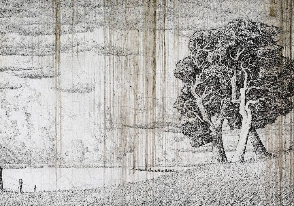 Fototapet - Copac - hârtie veche (254x184 cm)