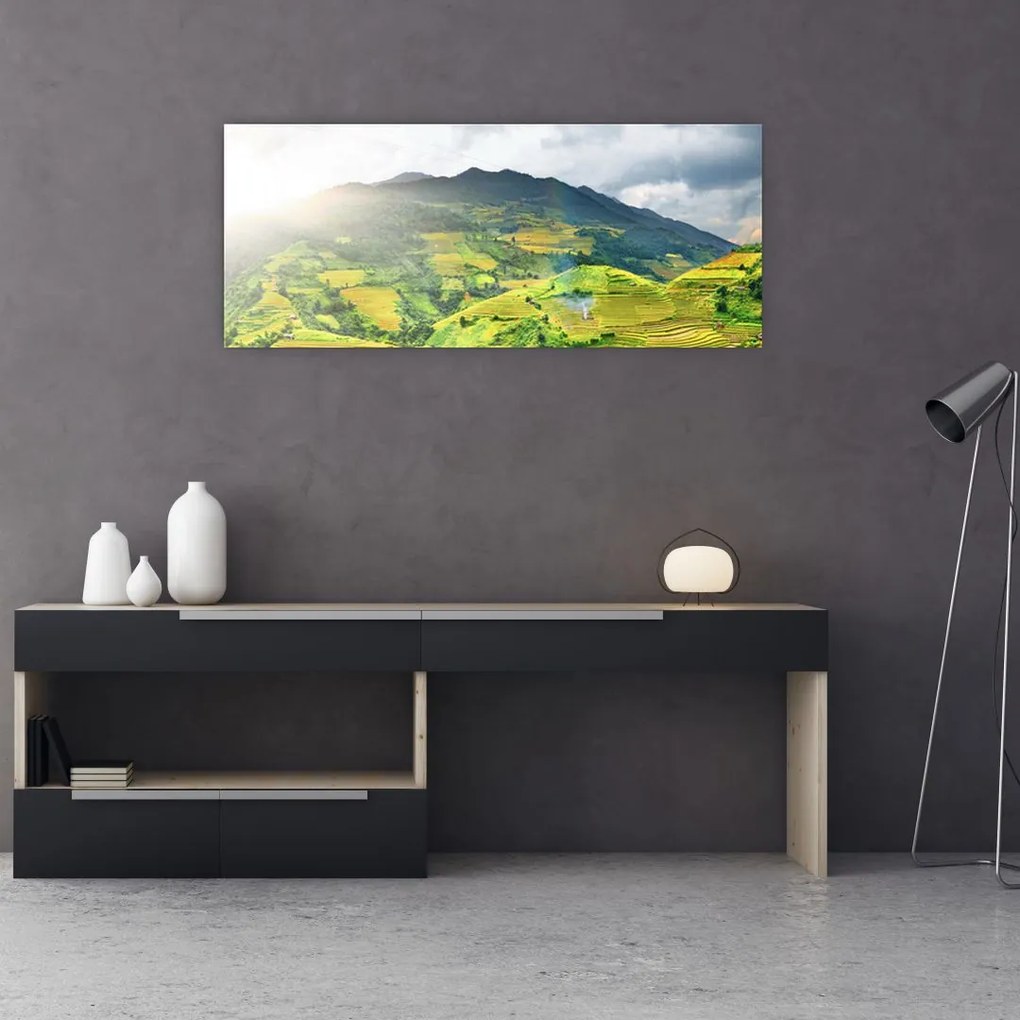 Tablou plantație (120x50 cm)