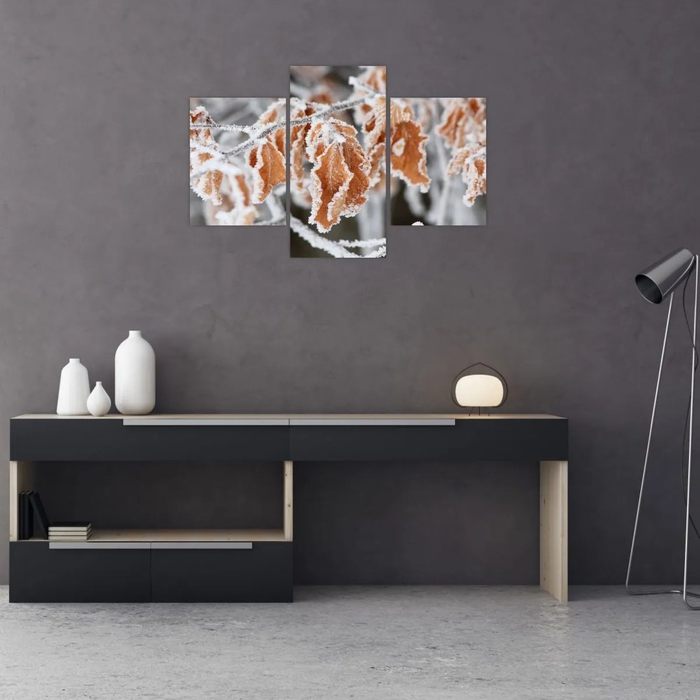 Tablou - Frunze înghețate (90x60 cm)