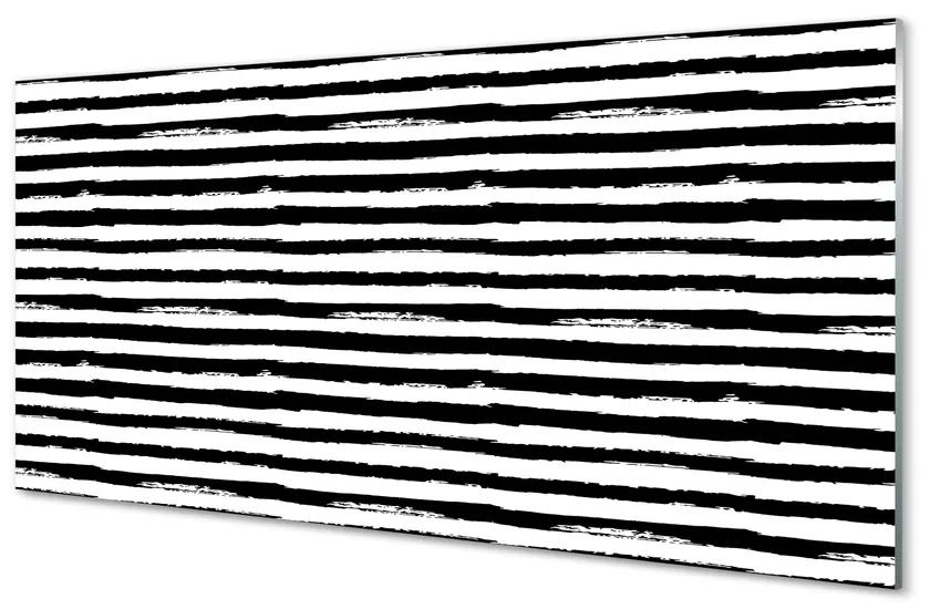 Tablouri acrilice dungi neregulate de o zebră