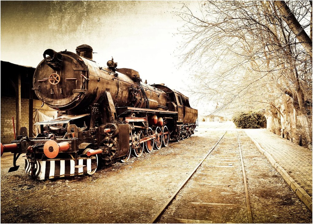 Tablou - Locomotiva istorică (70x50 cm)