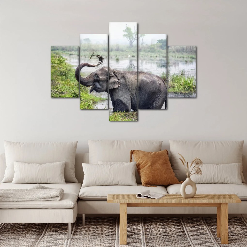 Tablou - Elefant de scăldat (150x105 cm)