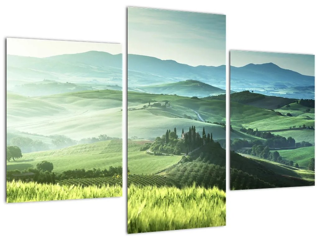 Tablou - Toscana, Italia (90x60 cm)