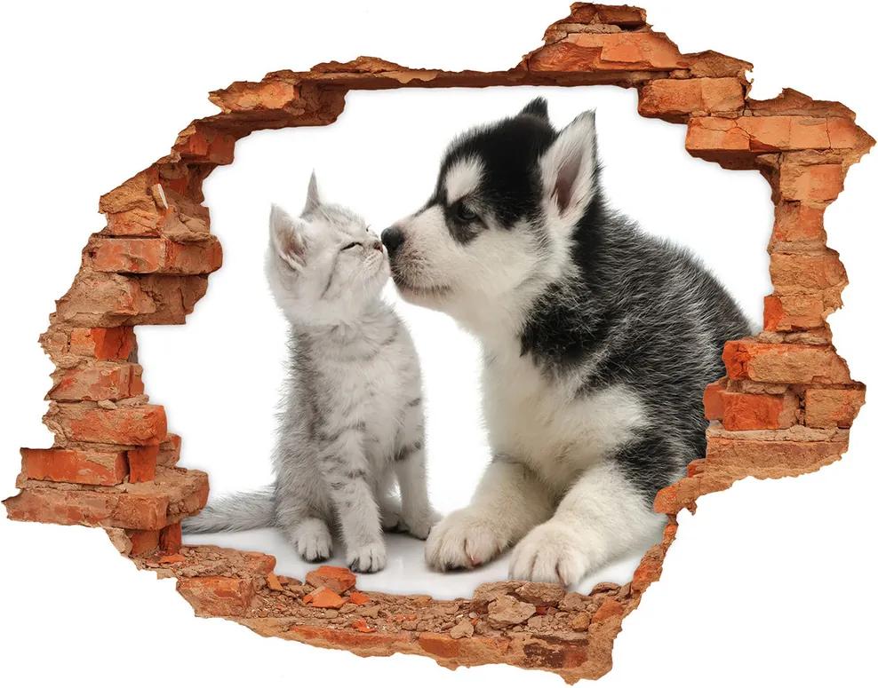 Autocolant gaură 3D Câine și pisică