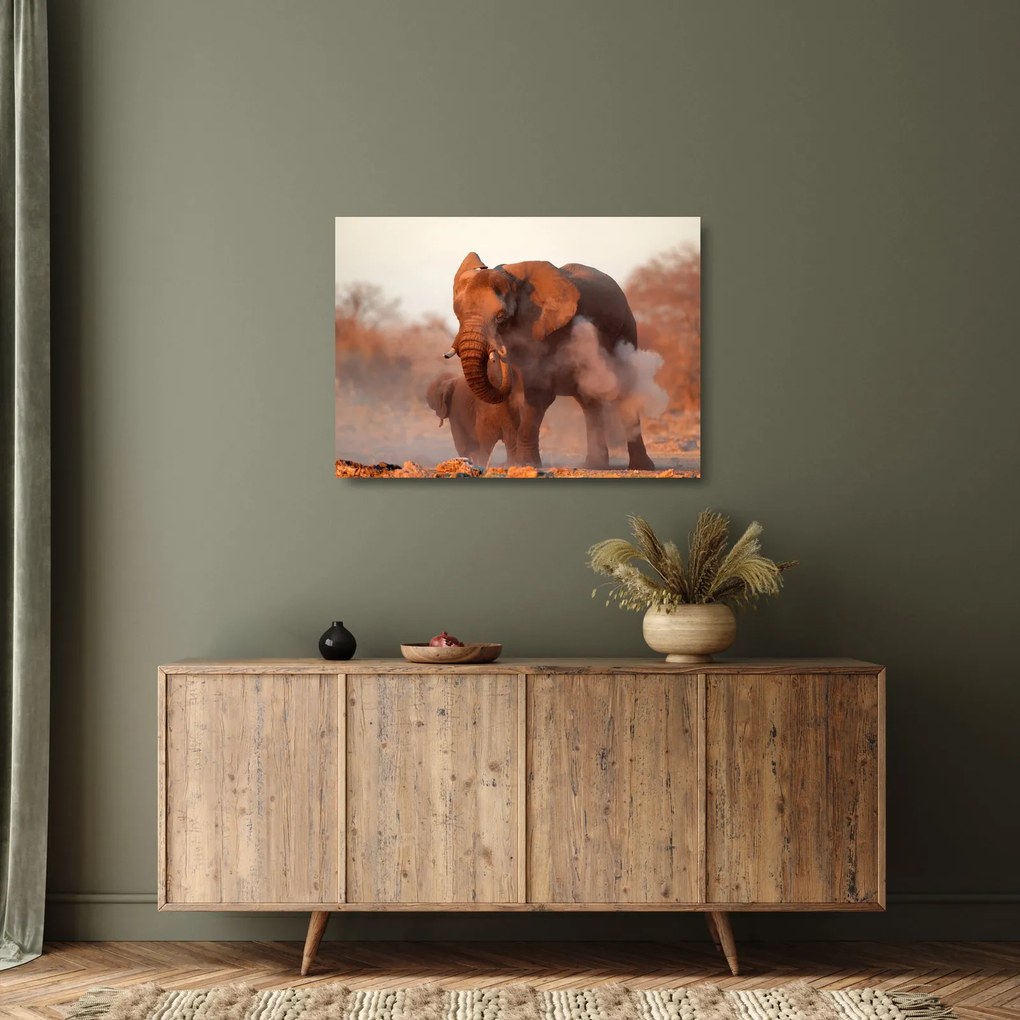 Tablou pe sticlă - Marele elefant african (70x50 cm)