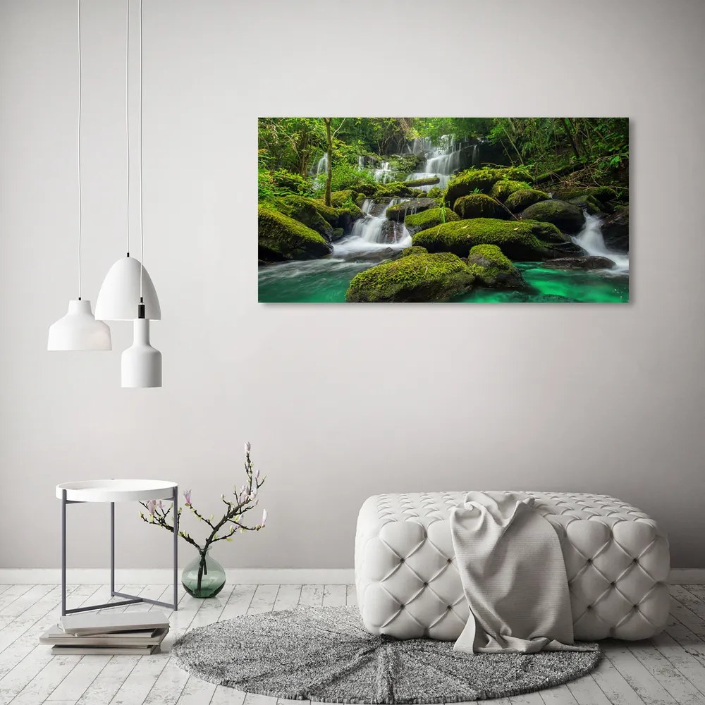 Tablou pe acril Cascada din pădure