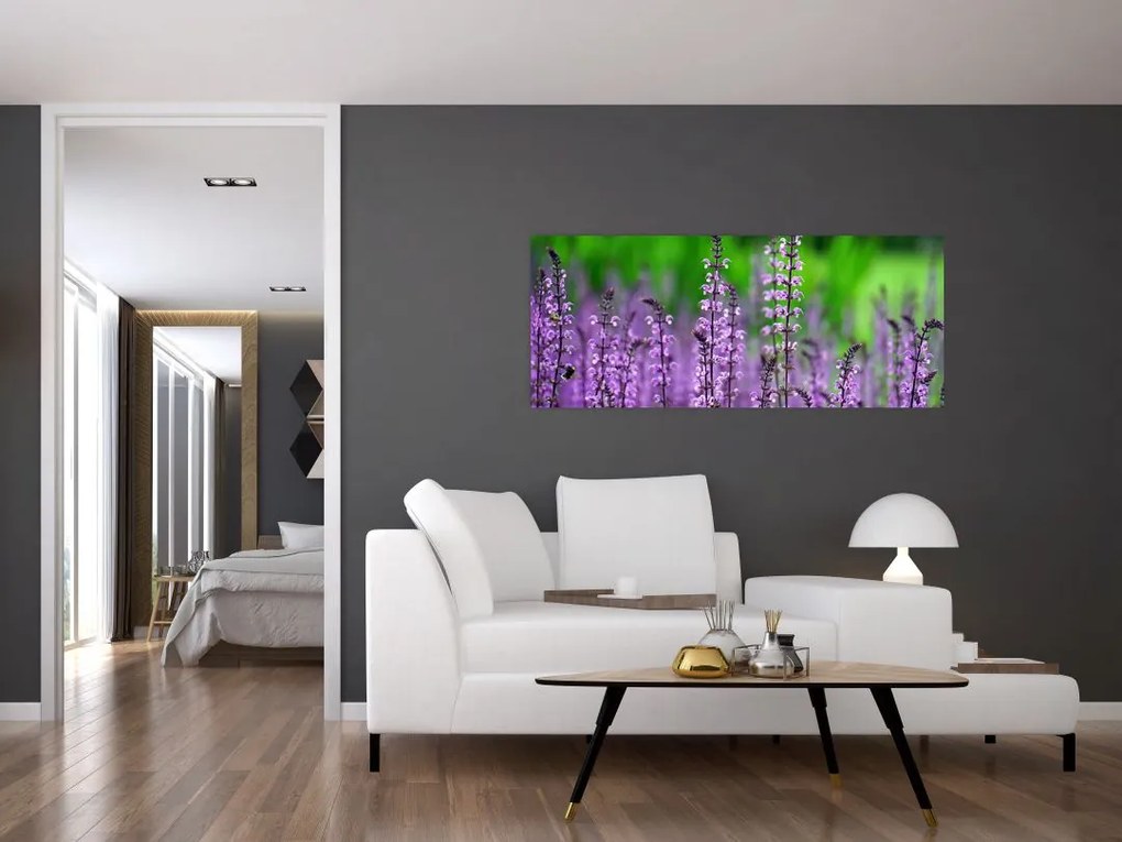 Tablou cu flori de luncă violete (120x50 cm)