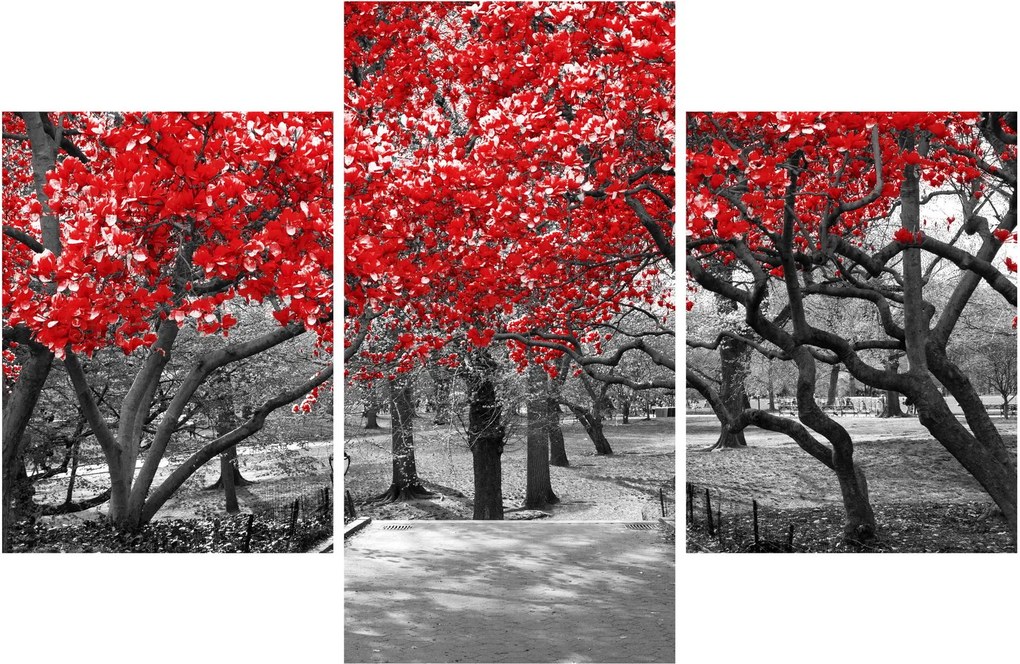 Tablou - Copaci roșii, Central Park, New York (90x60 cm)