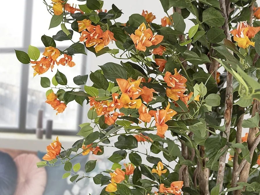 Set de 2 plante artificiale, Bougainvillea portocaliu H-180cm