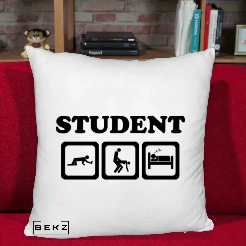 Perna Decorativa Student Life, 40x40 cm, Alb Pufos, Husa Detasabila, Perna Inclusa, BEKZ®