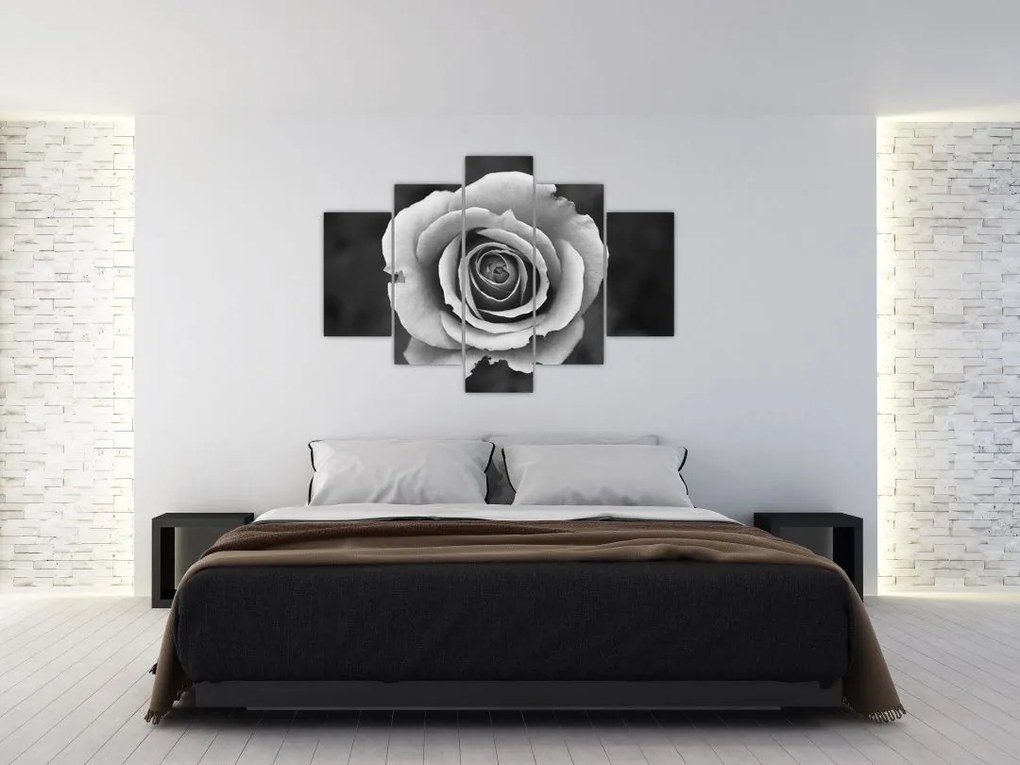 Tablou - Trandafir (150x105 cm)