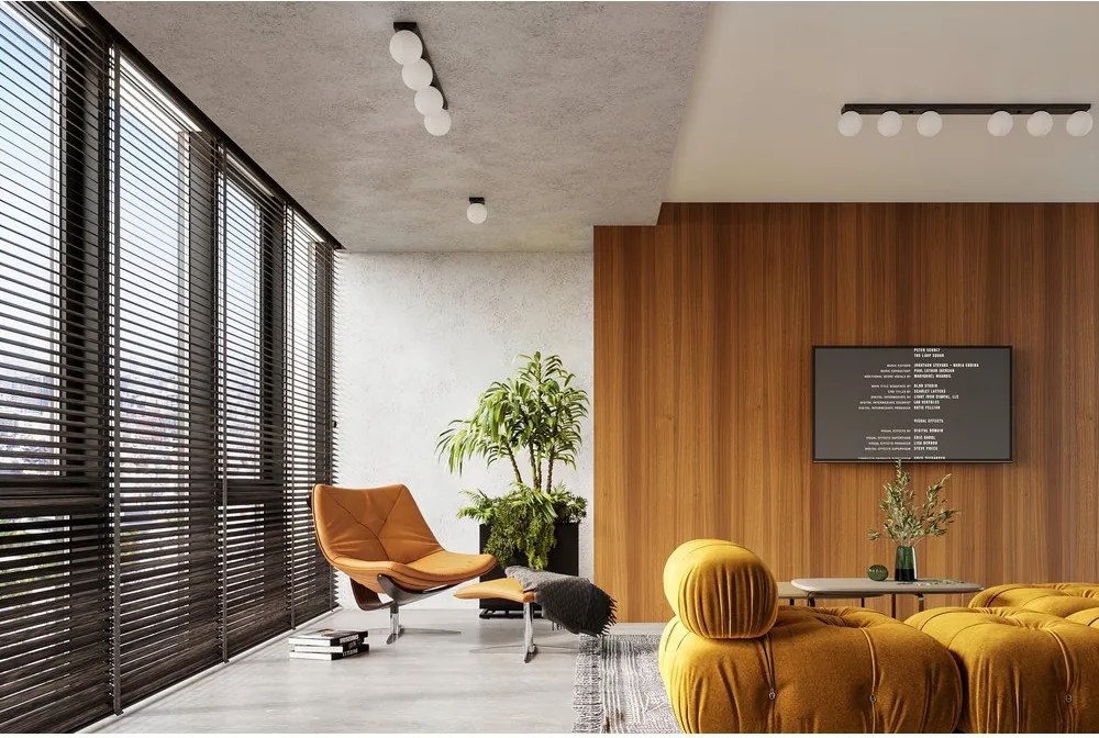 Plafonieră neagră cu abajur din sticlă ø 12 cm Umerta – Sollux