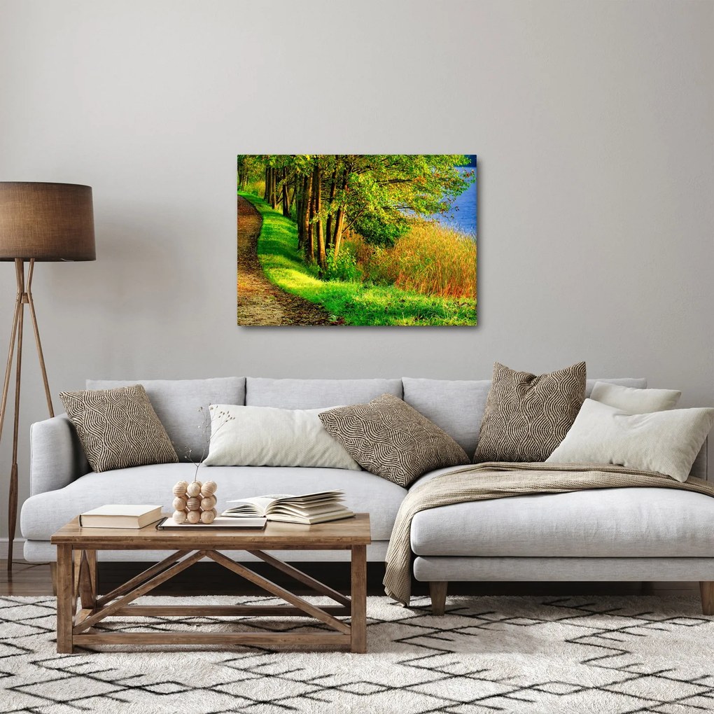 Tablou - poteci pe malul apei (70x50 cm)