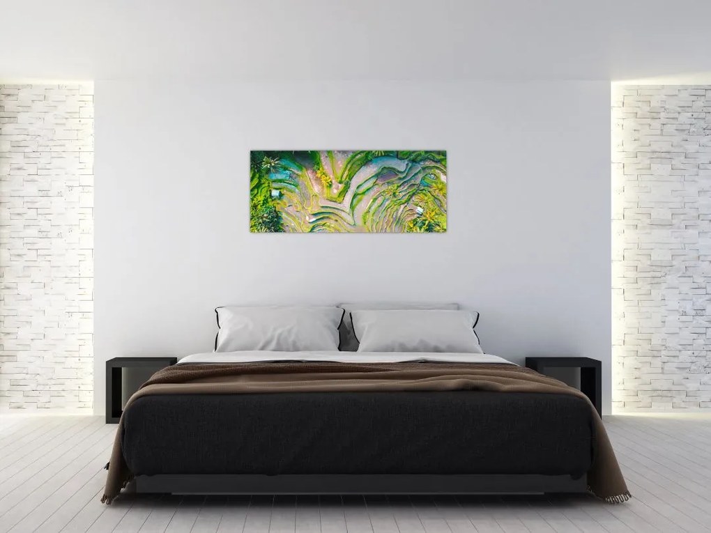 Tablou cu lanuri de orez din privire de sus (120x50 cm)