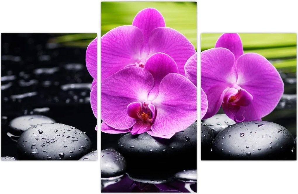 Tablou - Orhidee (90x60 cm)
