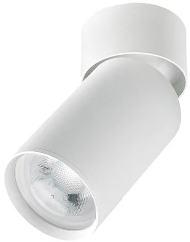 Spot aplicat directionabil design modern Yinc alb
