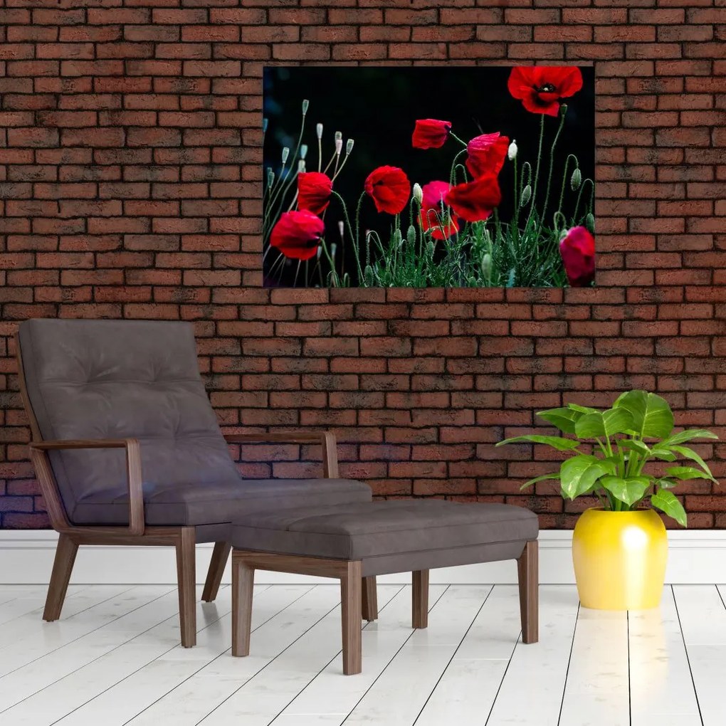 Tablou - Dansul macilor (90x60 cm)