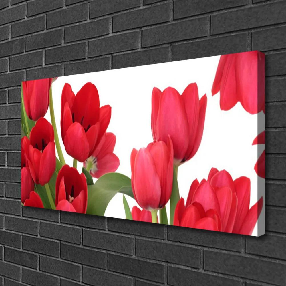 Tablou pe panza canvas Lalele Floral Red