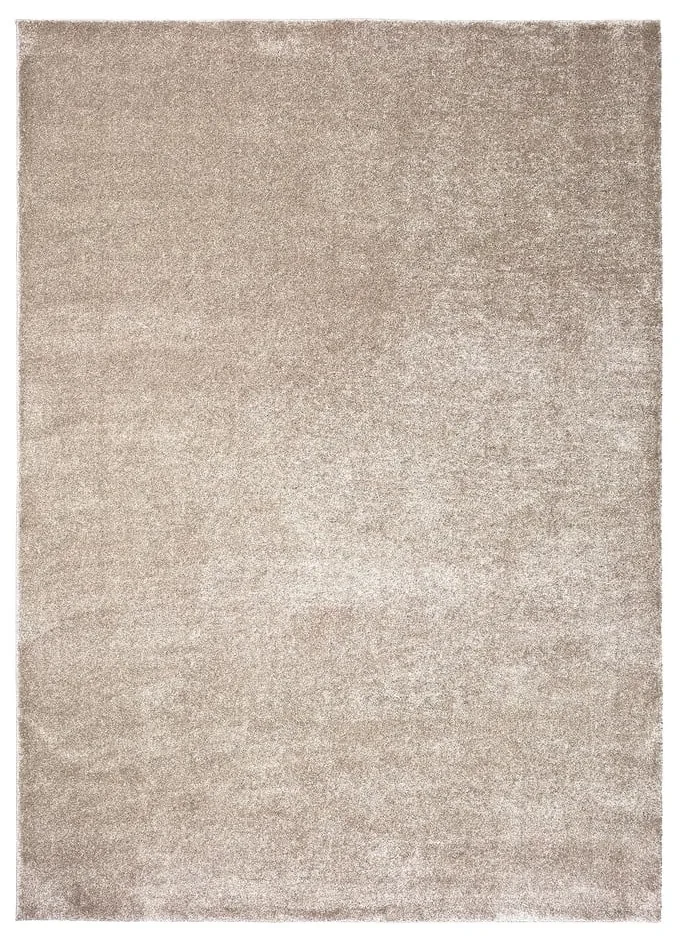 Covor gri/bej 160x230 cm – Universal