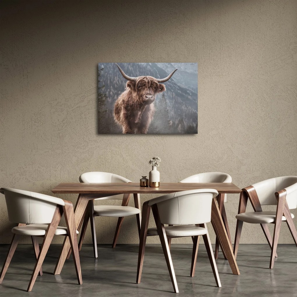 Tablou - Vaca Highlander (70x50 cm)