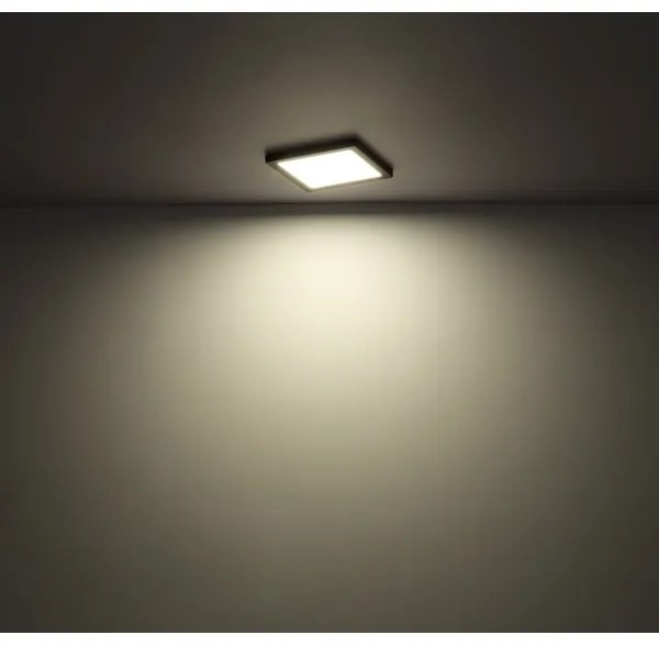 Plafonieră LED LASSE LED/18W/230V 3000/4000/6500K albă Globo 12380-18W