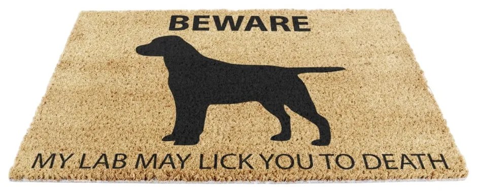 Covoraș de intrare din fibre de nucă de cocos 40x60 cm Labrador – Artsy Doormats