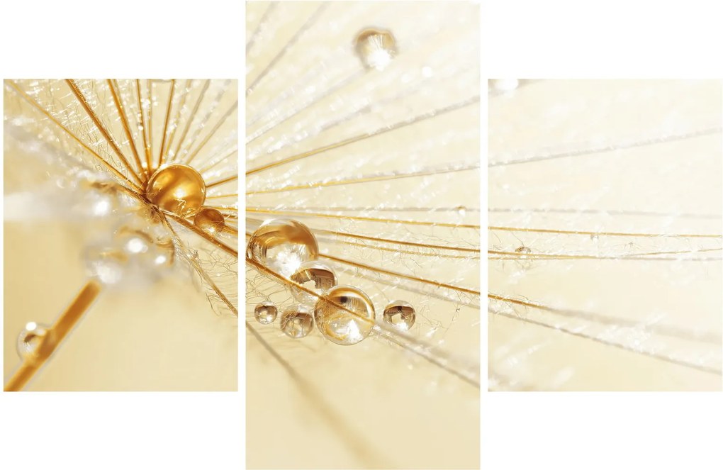 Tablou - Fotografie macro de păpădie (90x60 cm)