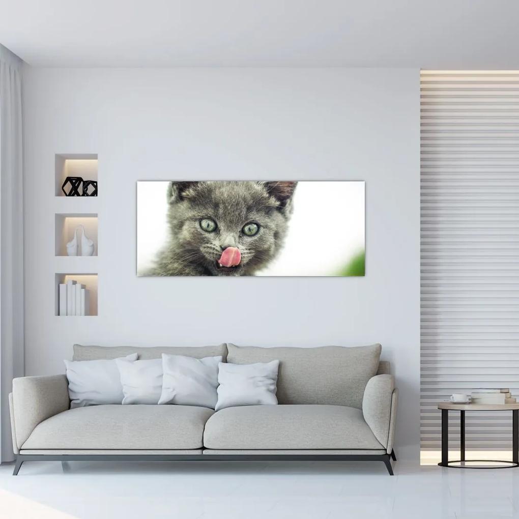 Tablou cu pisicuța lingându-se (120x50 cm), în 40 de alte dimensiuni noi