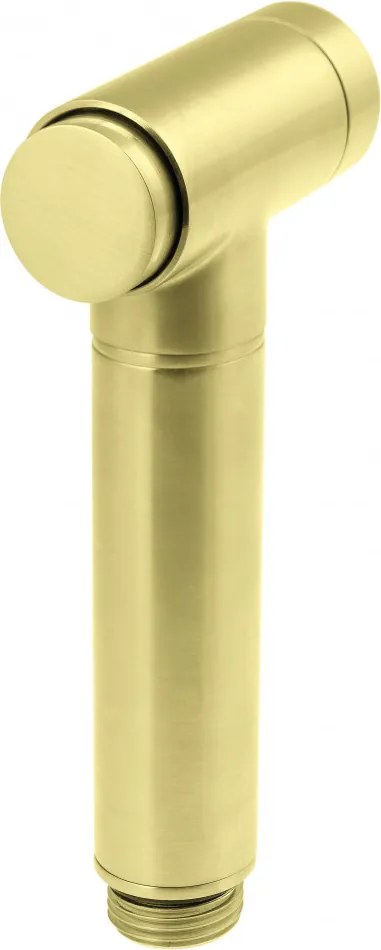 BIDETTA - Pară de Duș pentru Baterii de Bideu finisaj auriu periat - XDCJ4SRS1