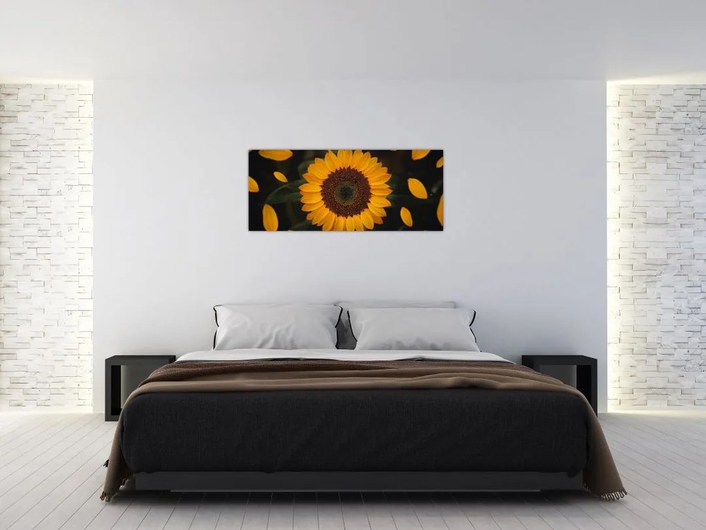 Tablou - Floarea soarelui și petale (120x50 cm)