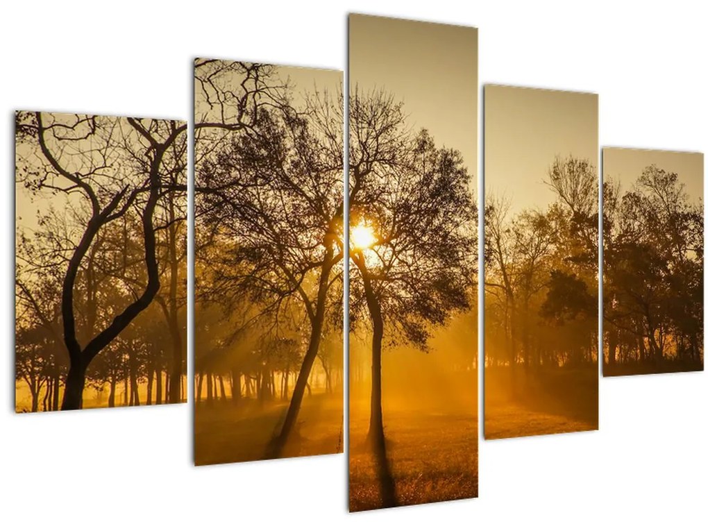 Tablou cu răsăsrit de soare (150x105 cm)
