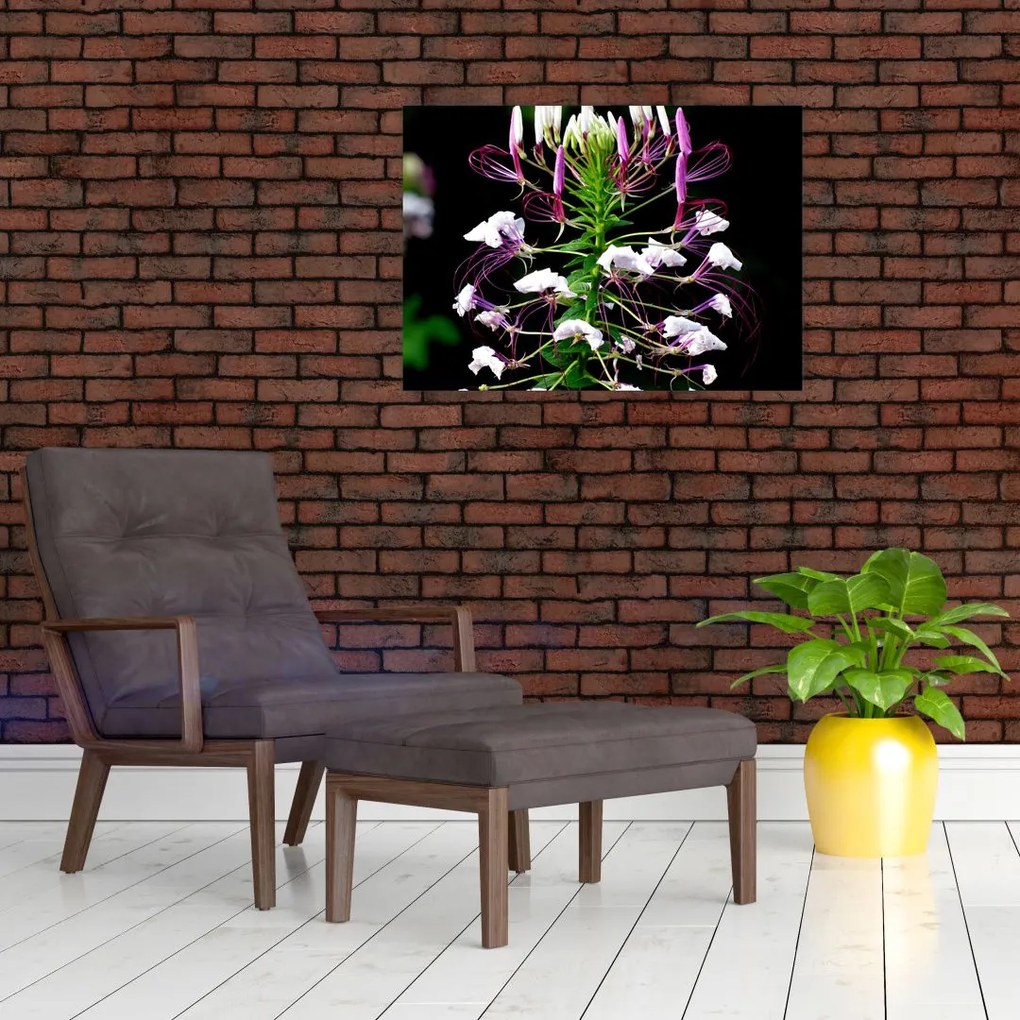 Tablou cu floare (70x50 cm)