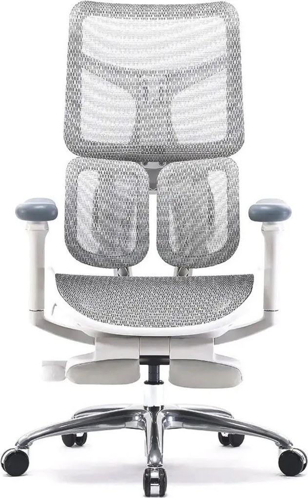 Scaun ergonomic SIHOO S100, cotiere 4D ultra moi, suport lombar adaptiv, spătar reglabil pe inaltime, sezut cu translatie, mecanism multifunctional inclinare/blocare, suport picioare Dual, pivotant, Mesh, Gri