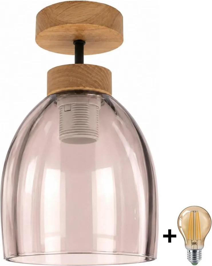 BRILAGI - LED Lustră aplicată R GLASS 1xE27/60W/230V Ø 17 cm stejar/bej fumuriu