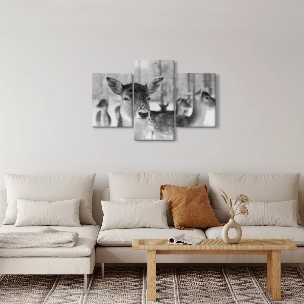 Tablou - Cerbi,alb-negru (90x60 cm)