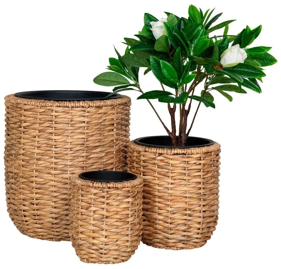 Ghivece 3 buc. din zambilă de apă ø 49 cm Hanoi – House Nordic