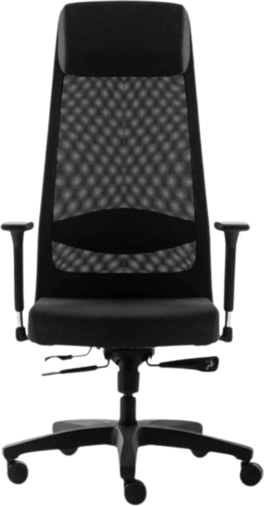 Scaun ergonomic ErgoX, spătar din mesh, tetieră, suport lombar integrat