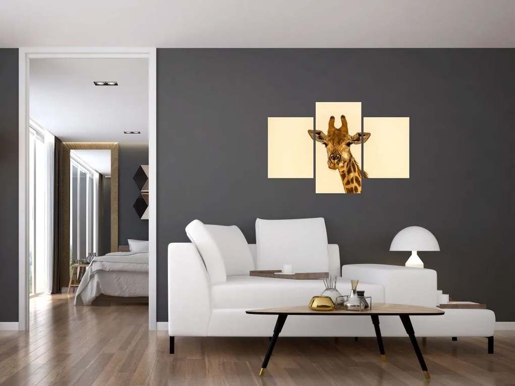 Tablou cu girafe (90x60 cm)