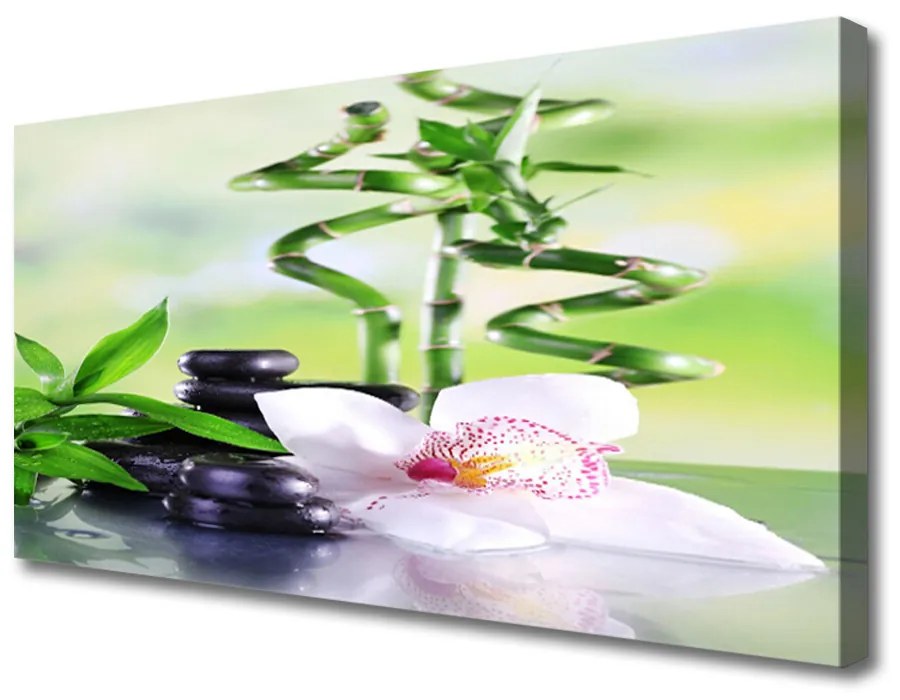 Tablou pe panza canvas Bambus Tulpini flori Stones Floral Verde Alb Negru