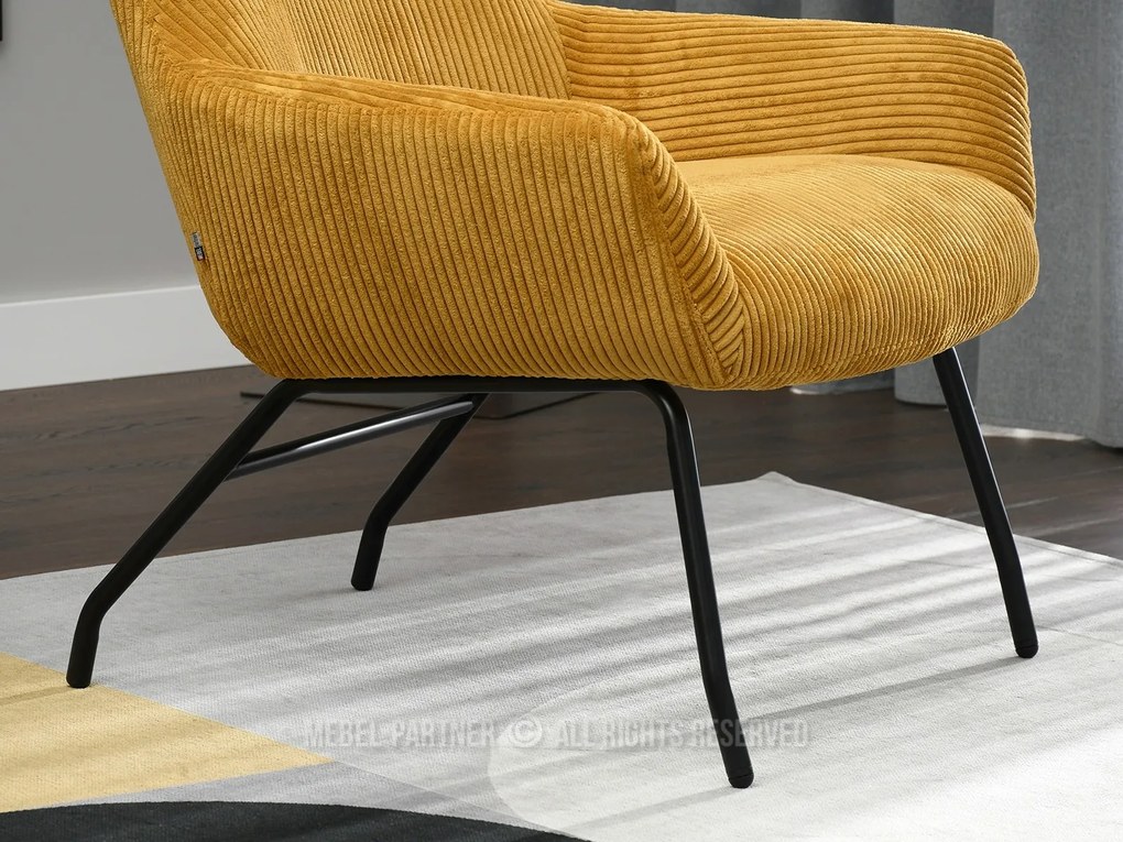 Fotoliu Condor (med + negru). 1109988