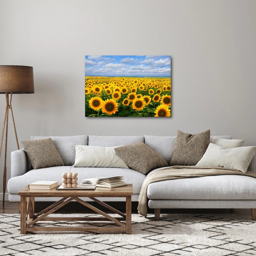 Tablou cu lan de floarea soarelui (70x50 cm)