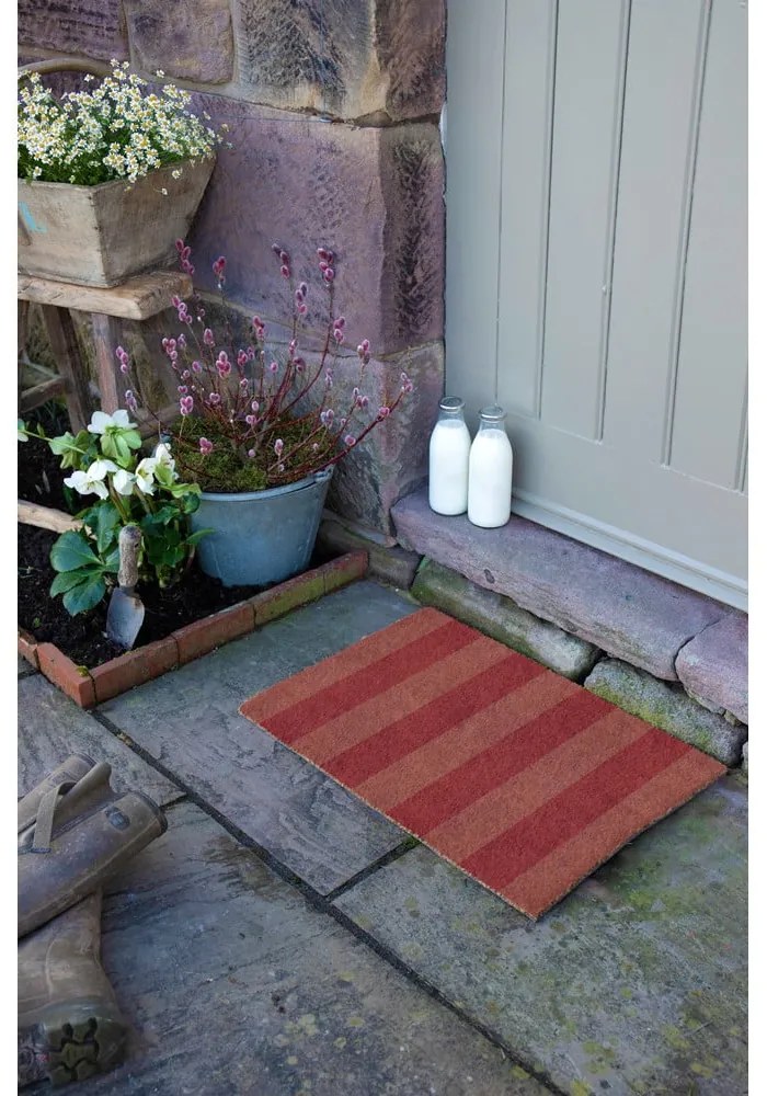 Covoraș de intrare din fibre de nucă de cocos 40x60 cm Pink Stripe – Artsy Doormats