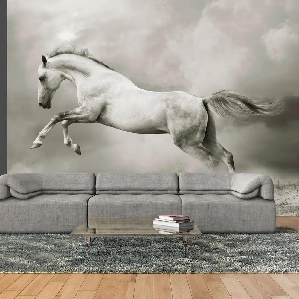 Fototapet Bimago - Wild Stallion + Adeziv gratuit 200x154 cm