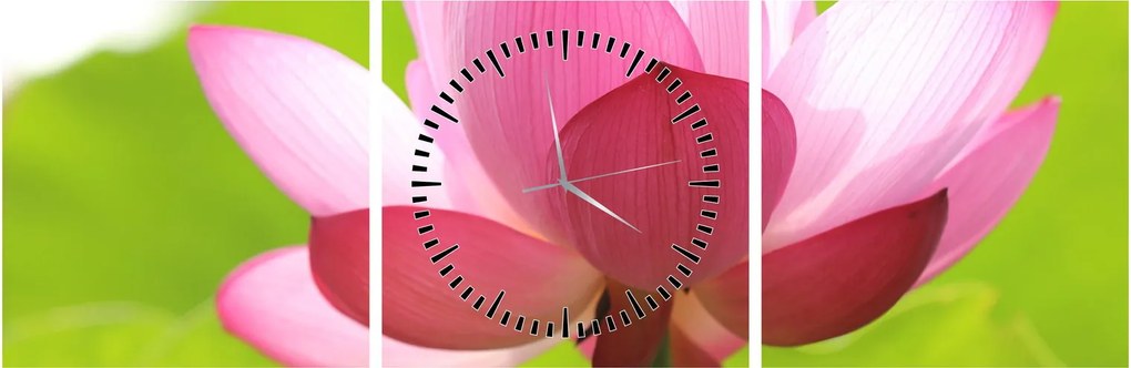 Tablou cu flori de lotus (cu ceas) (90x30 cm)