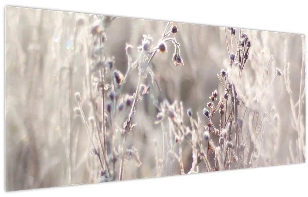 Tablou - Plante (120x50 cm)