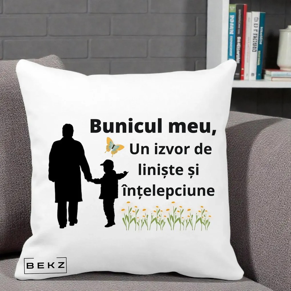 Cadou pentru Bunic - Perna Personalizata Bunicul Meu Izvor de Liniste cu Fluture si Baietel, 40x40 cm, Alba Mata, Husa Detasabila, Perna Inclusa, BEKZ®