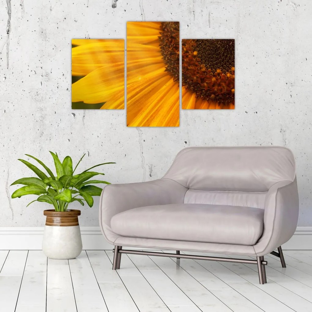 Tablou - Floarea-soarelui (90x60 cm)