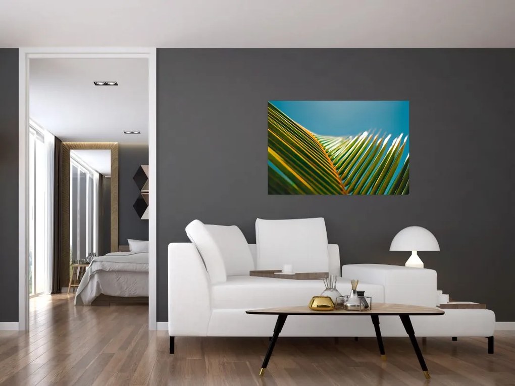 Tablou - Frunze de palmier (90x60 cm)