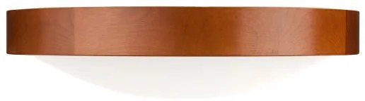 Lustr MEDA 2xE27/60W/230V pentru tavan