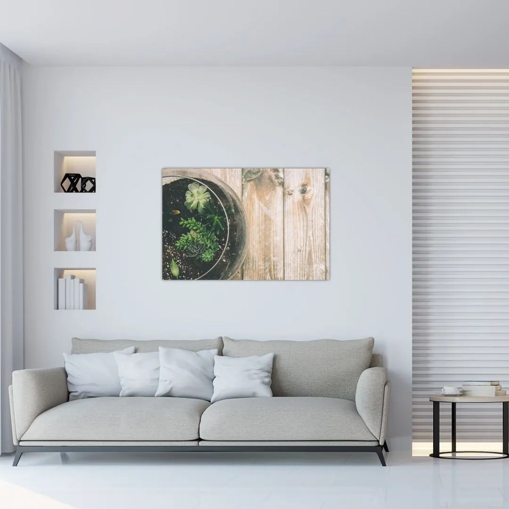 Tablou - Terariu de sticlă (90x60 cm)